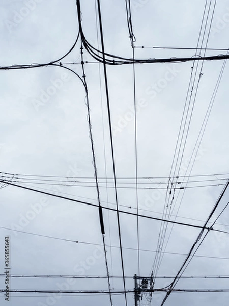 Obraz 曇り空と交差する電線