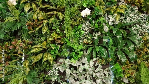 Fototapeta Vertical garden with various species of artificial trees.natural background