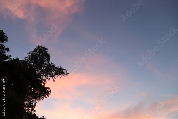 Obraz sunset in the sky