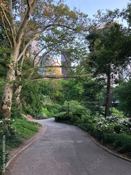 Obraz path in the park