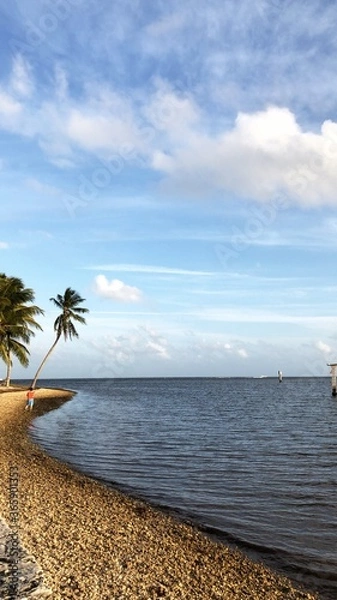 Obraz tropical beach with palm trees