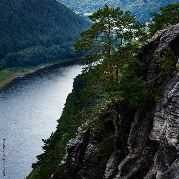 Fototapeta tree on an rock above a river