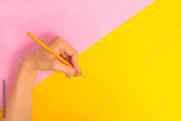 Fototapeta The left hand is holding a pencil and is about to write something on a bright pink-yellow background. International Left-handers Day on August 13.