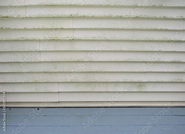 Obraz Mold and mildew on the exterior siding of a house 