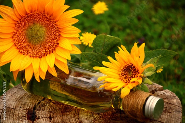 Obraz sonnenblumen  öl