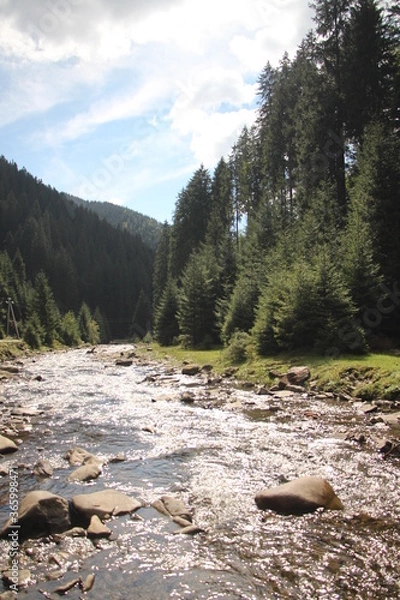 Obraz mountain river in the mountains