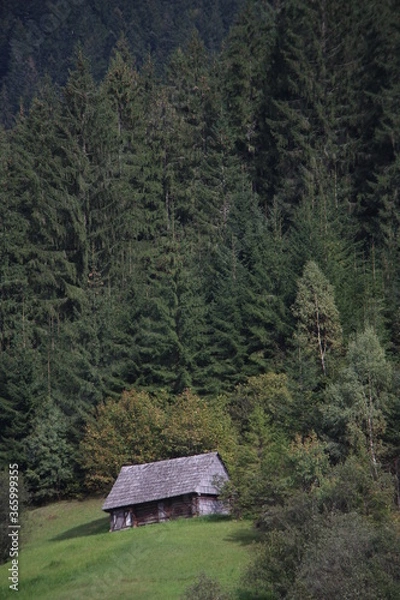 Obraz cabin in the mountains