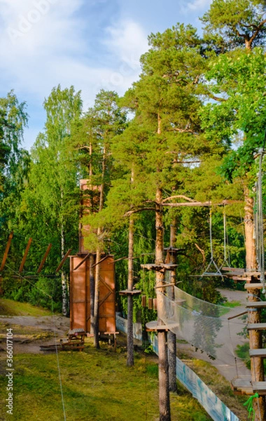 Obraz Rope sport attraction in a pine Park