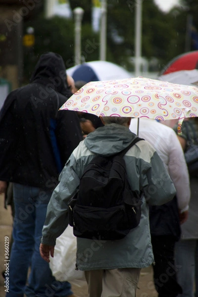 Obraz people with umbrella