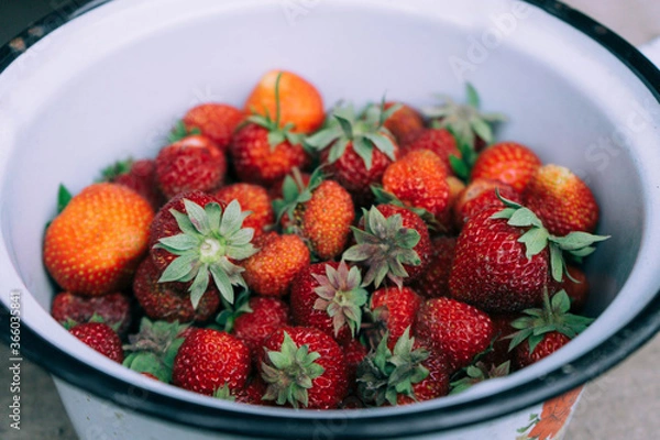 Obraz Fresh strawberry