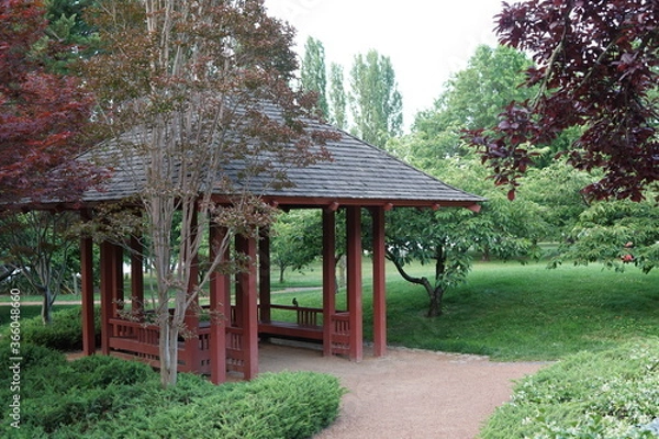 Obraz japanese garden in spring