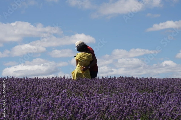 Obraz Couple in lavender field