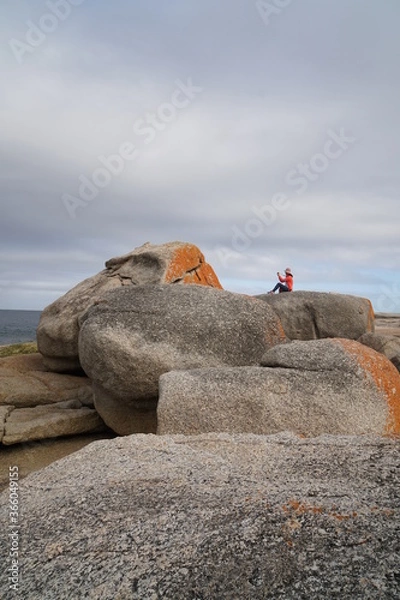 Obraz red rocks on the beach