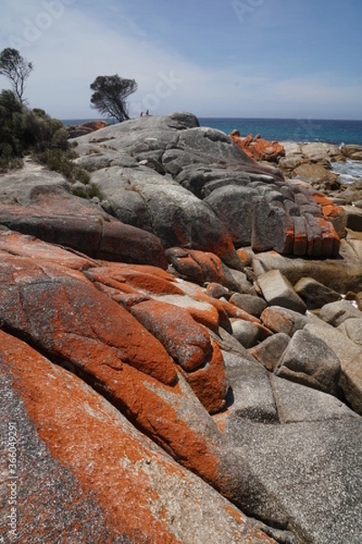Obraz Big rocks on a beautiful beach