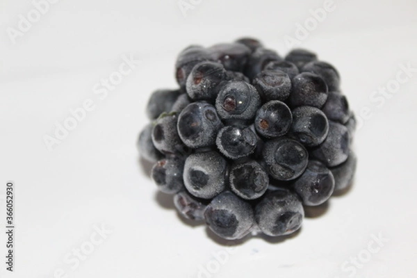 Obraz blackberry on a white background