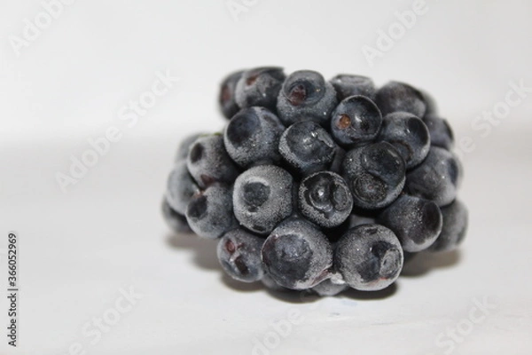 Obraz blackberry close up