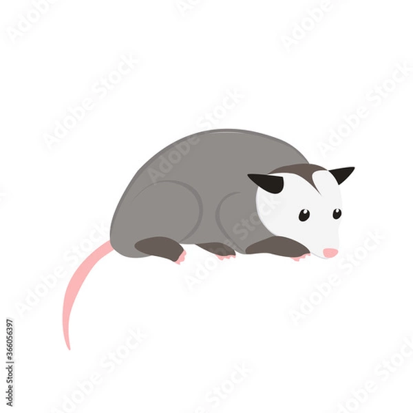 Obraz Possum Illustration