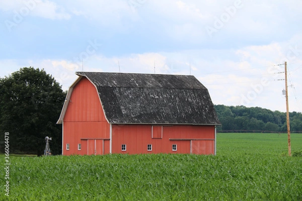 Fototapeta a tall black roof red barn with white trim and small in a growing crop field with lush forest trees beyond