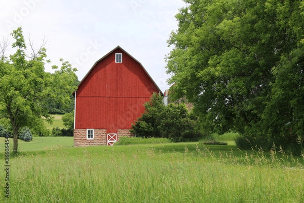 Fototapeta bright red farm barn with fresh painted white trim in a natural field with trees and agriculture beyond
