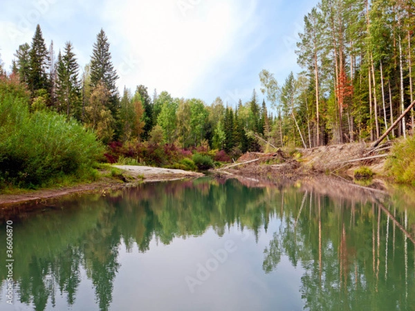 Obraz Autumn Landscape