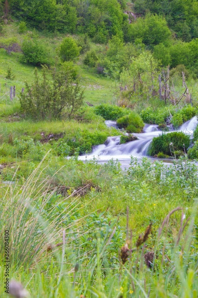 Obraz stream in the forest