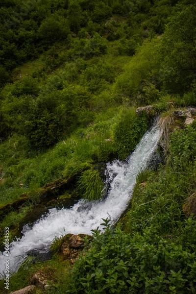 Obraz waterfall in the forest