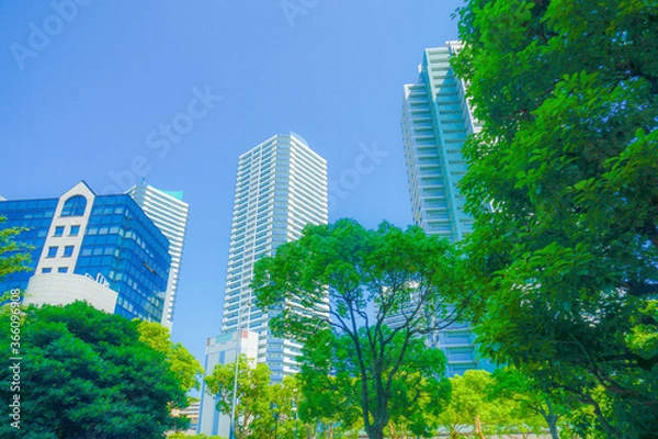 Fototapeta 横浜みなとみらいの街並みと青空