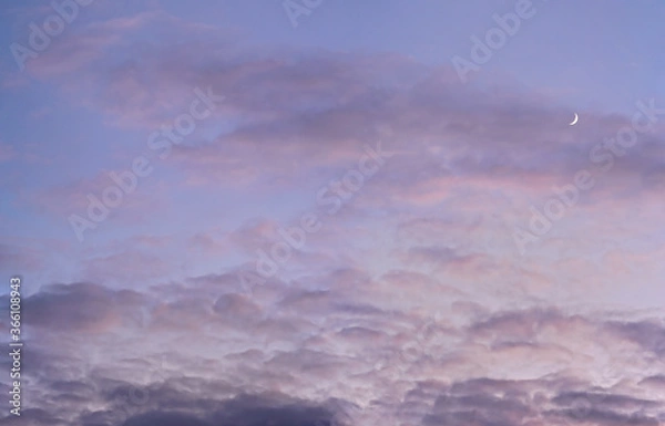 Fototapeta Evening purple sky with some barely visible clouds, moon crescent in right side - blue hour background