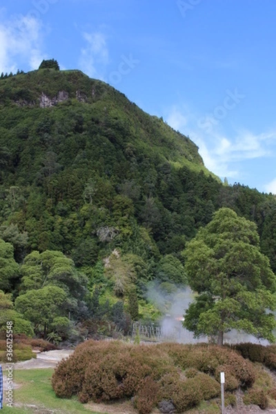 Fototapeta mountain landscape with trees