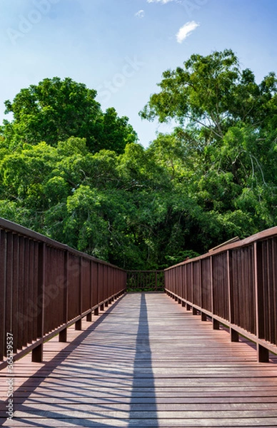 Obraz wooden bridge over the river