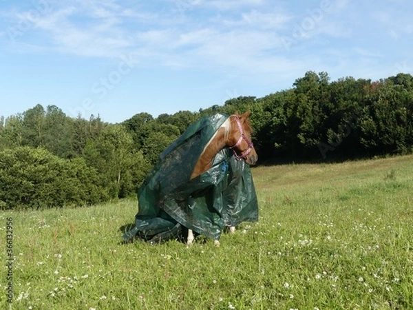 Obraz travail sur la confiance