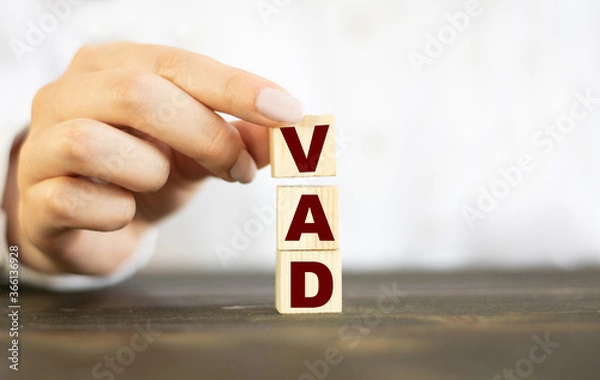 Obraz Businessman made word VAD with wood building blocks.