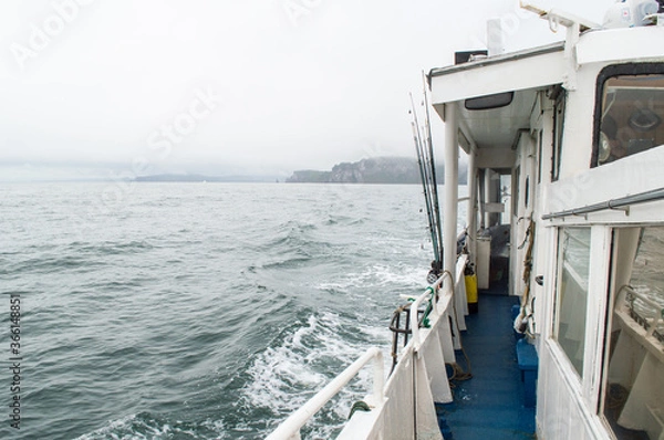 Fototapeta A sense of freedom in the cold ocean