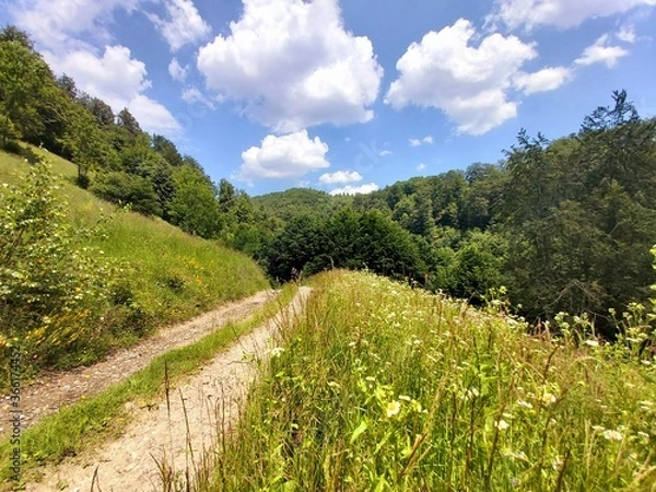 Obraz road in mountains