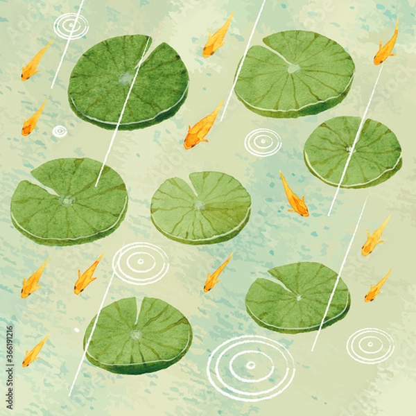 Obraz 雨にうきくさとヒメダカ