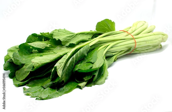 Fototapeta Cantonese vegetable isolated on white background