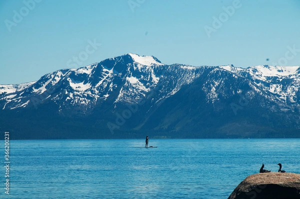 Fototapeta Paddleboarder on Tahoe