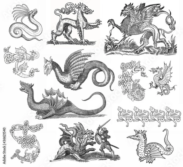 Obraz Dragon theme illustration