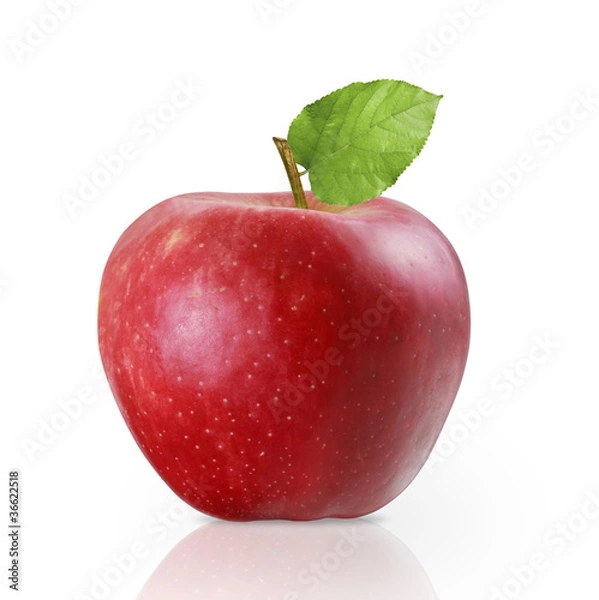 Obraz Fresh red apple