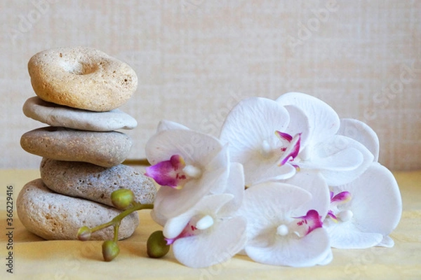 Obraz white orchid flower and natural stone pyramid, relaxing zen background