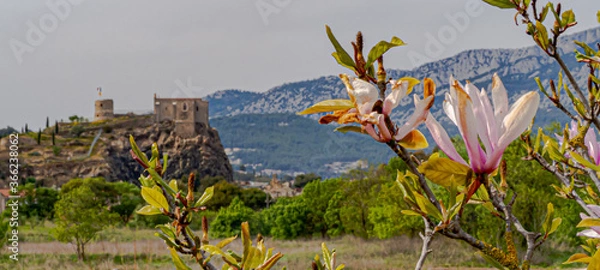 Obraz OLYMPUS DIGITAL CAMERA