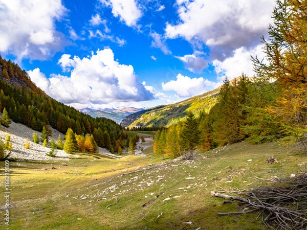 Obraz OLYMPUS DIGITAL CAMERA