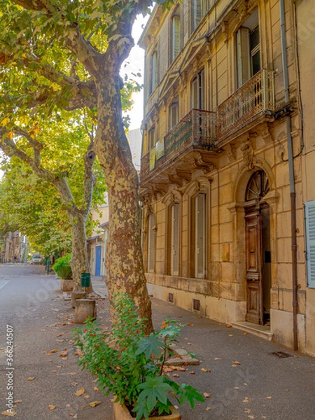 Obraz OLYMPUS DIGITAL CAMERA