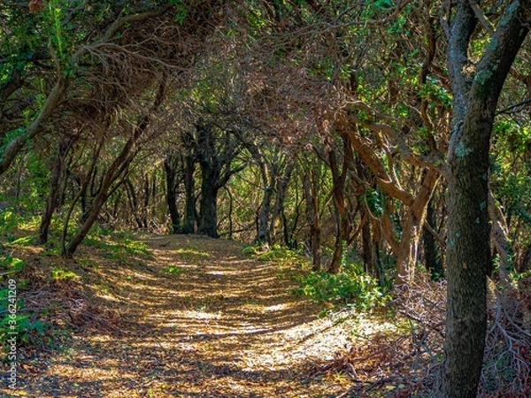 Obraz OLYMPUS DIGITAL CAMERA