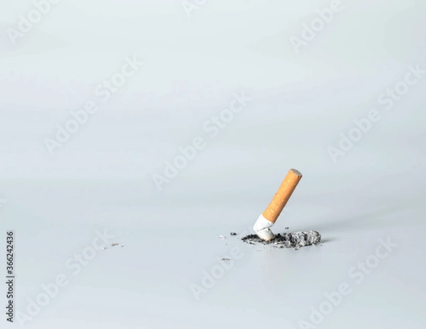 Fototapeta cigarette butt lay on a white background 