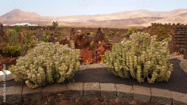 Obraz Lanzarote The Cactus Garden Jardin De Cactus