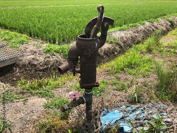 Fototapeta 手押しポンプ