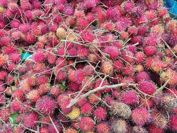 Obraz Rambutan Fruit