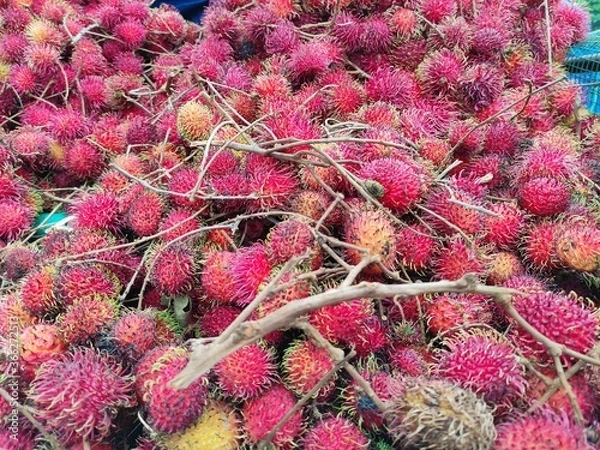 Obraz Rambutan Fruit