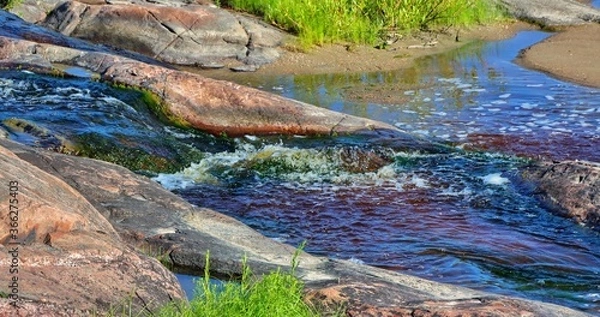 Obraz crocodile in the water